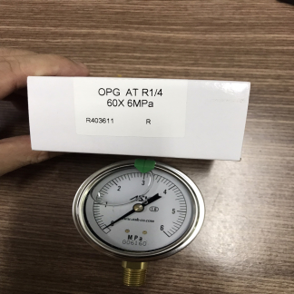 OPG-AT-R1/4-60X6Mpa